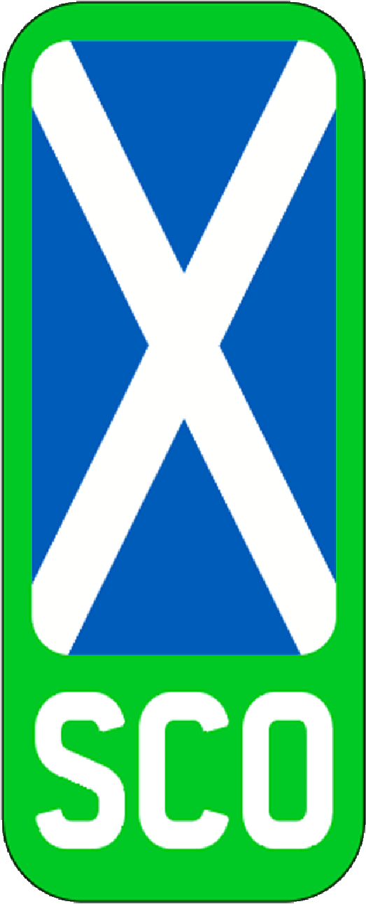 Pair of Flags for Number Plates - Printed, Gel, Acrylic