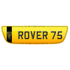 What size do you need?